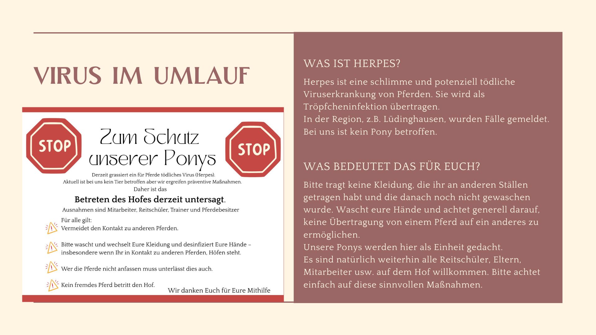 2. Reiterwochenende für Erwachsene 2019
